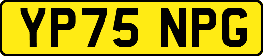 YP75NPG