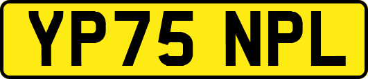 YP75NPL