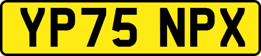 YP75NPX