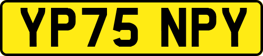 YP75NPY