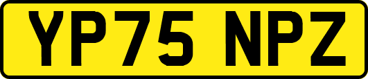YP75NPZ