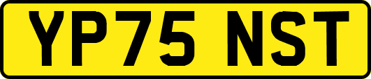 YP75NST