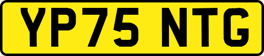 YP75NTG