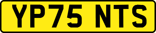 YP75NTS