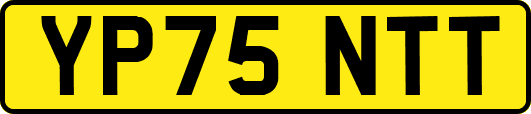 YP75NTT