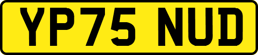 YP75NUD