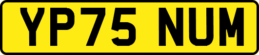 YP75NUM