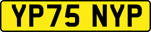 YP75NYP