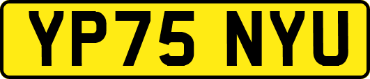 YP75NYU
