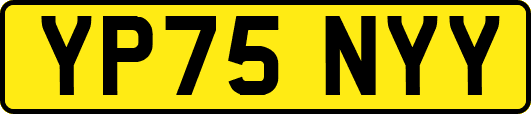 YP75NYY