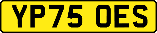 YP75OES