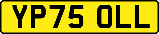 YP75OLL