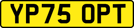 YP75OPT