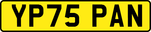 YP75PAN
