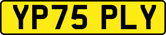 YP75PLY