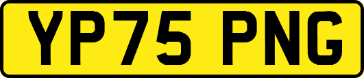 YP75PNG