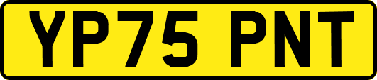 YP75PNT