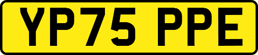 YP75PPE