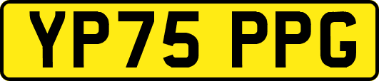 YP75PPG