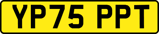 YP75PPT