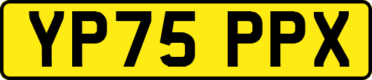 YP75PPX