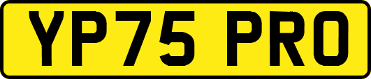 YP75PRO