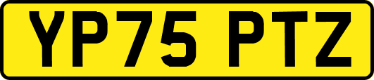 YP75PTZ