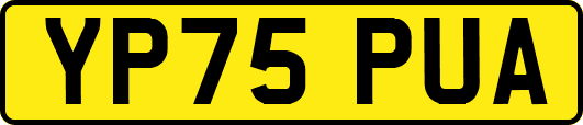YP75PUA