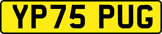YP75PUG