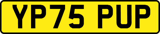 YP75PUP