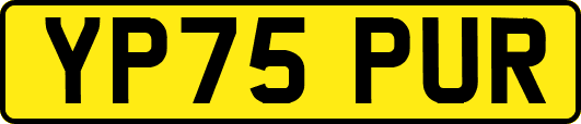 YP75PUR