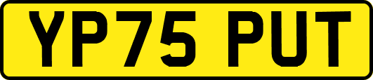 YP75PUT