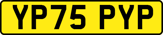 YP75PYP