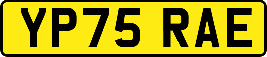 YP75RAE