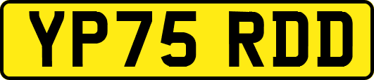 YP75RDD