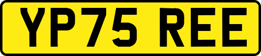 YP75REE