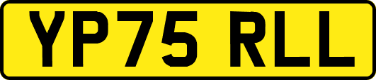 YP75RLL