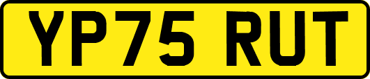 YP75RUT