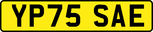 YP75SAE