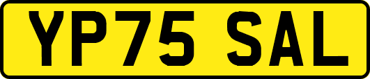 YP75SAL