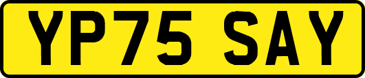 YP75SAY
