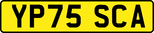 YP75SCA