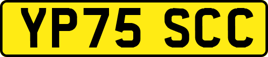 YP75SCC