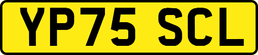 YP75SCL