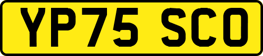YP75SCO