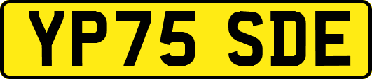 YP75SDE