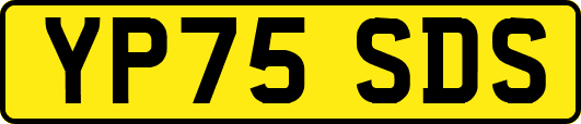YP75SDS