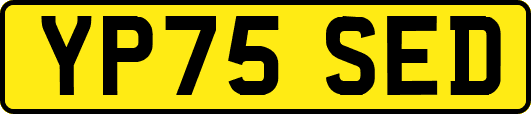 YP75SED