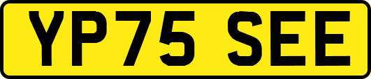 YP75SEE