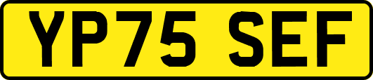 YP75SEF